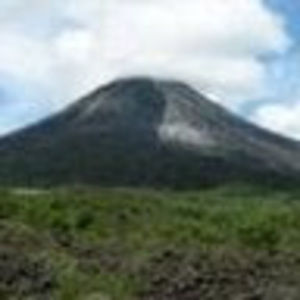 Meet your Posher, Roberta